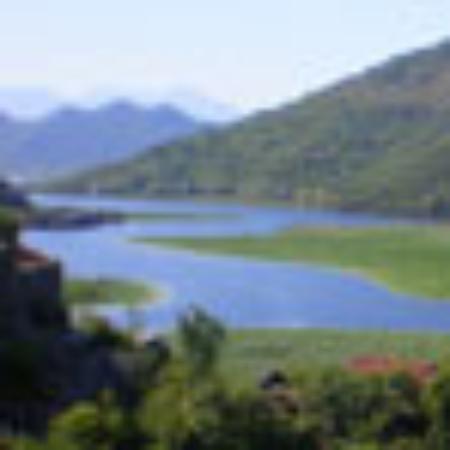 Restaurante Solar Arco Cego